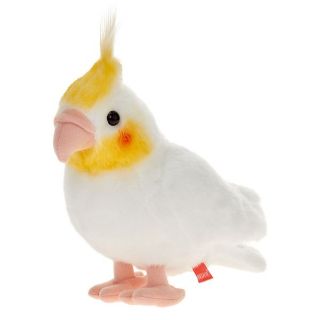 Obrázek z Korela bílá plyš 20cm  